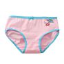 Customized Fancy Children's Underwear Young Little Young Teen School Girl Panties