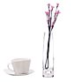 Cylinder Glass Flower Vase for Home Decor