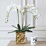 Design Artificial in Pot Uk Phalaenopsis Orchid Silk Flower