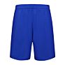 Direct Sport Shorts Polyester Fast Dry Unisex Basketball Shorts Basketball Shorts