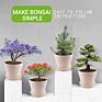 Diy Indoor Bonsai Tree Starter Kit with 4 Seeds Types Includes Seed Pot Peat Soil for Kids and Adult Crafts
