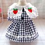 Dog Costumes Black and White Plaid Princess Lace Collar Red Apple Little Lace Teddy Cute Temperament Pet Dog Skirt