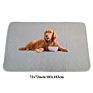 Dog Pee Mat Washable Strong Water Absorption Dog Pee Pad Puppy Training Waterproof Pee Pad