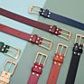 dog neck belt collar