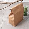 Eco Friendly Reusable Lunch Cooler Bag Tote Kraft Paper Lunch Bag