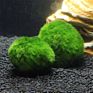 Environmental Green Seaweed Balls Genuine Aquarium Ball Moss Balls Fish Tank Healthy Aquatic Plants Decoration