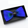 Fathers Day Novelty Weeding Feather Bow Tie Box Natural Material Neckwear Handmade Bow Ties