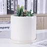 Fine-Price White Modern Nordic Planter round Shape Ceramic Planter for Indoor and Outdoor