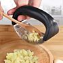 Food Grade Stainless Steel Garlic Crusher Vegetable Kitchen Accessories Tools Stainless Steel Garlic Press