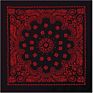 Fubu No Moq 27*27Inch Extra Large 100% Cotton Paisley Big Size Bandana Oversized Bandana Printed Headwear