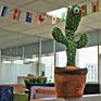 Funny Recorder Singing Cactus Plush Toy Usb Rechargeable Dancing Cactus