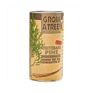 Giant Sequoia Christmas Tree Seed Grow Kit