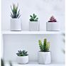 Green Individual Mini Faux Fake Artificial Succulent Cactus Plant Bonsai Succulent Assorted Set