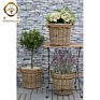 Handmade Natural Material Wicker Flower Storage Basket Willow Plant Planters with Plastic Liner
