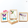 High- Wood-Based Panel 3D Diy Single Photo Wooden Picture Frame Photo Frames for Specimen