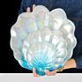 High Definition Home Decoration Moden Fancy Seashells Tray Plate