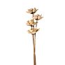 Home Decor Flowers Dried Wood Flower Lotus Flower