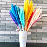 Home Decorative Flower Small Pampas Grass Dried Pampas Grass Natural Fresh Pampas Grass for Decoration