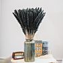 Ins Most Popular Decoration Dried Flowers Pampas Grass Black Pampas for Home or Weddings Decoration