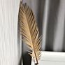 Iron Leaves Sago Cycas Leaf Natural Dried Folium Cycas
