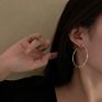 Jewelry 925 Silver Needle Exaggerated Inlaid Diamond Large Ring Earrings Temperament Show Face Thin Personality