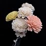 L06416 Price Home Decoration Flowers Different Shape Coloured 4.5Cm 8Cm Wood Sola Flower