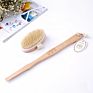 Long Handle Dry Skin Body Exfoliator- Detatchable Brush Head for Wet or Dry Brushing, Exfoliating Shower Brush