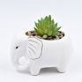 Lovely Elephant Shape Ceramic Succulent Planter Animal Ceramic Plant Pot