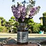 Metal Flower Vase Rustic Jug Farmhouse Planting Garden Bucket Container Galvanized Pail Shabby Chic Decor for Home Gardenmetal F