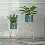 Metal Plant Stand Sets Flower Pot with Original Green Customized Style Vase Floor Color Decorative Plant Modern