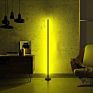 Minimalist Nordic Corner Decorative Rgb Led Standing Designer Floor Lamp Smart Wifi Alexa Tuya Music Sync Corner Pole Lights