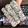 Natural California White Sage Smudging Wands Sticks for Leaf Smoky Purification