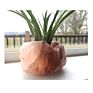 Natural Pink Crystal Salt Air Plant Holder Pots