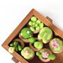 Needle Felting Supplies Kit Wool Felt Starter Set Succulent Plants and Cactus 8-In-1 Pack Easy to Follow Full Range