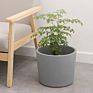 Nordic Ceramic Succulent Flower Pot with Wood Stand Living Room Green Plants Container