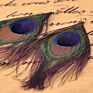 Peacock Feather Pendant Earrings Women National Style Earring