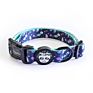 Personalized Logo Pet Collars & Leashes(Old) Adjustable Nylon Rainbow Design Cheaper Collar Dog