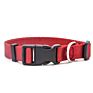 Personalized Logo Plastic Buckle Adjustable Plain Nylon Dog Collar