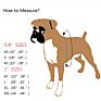 Pet Safe Adjustable Gentle Comfortable Control Easy Walk Dog Harness,Freedom No-Pull Martingale Dog Harness