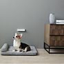 Petkit Pet Smart Whole House Deodorizer Bedroom Air Purifiers for Allergies and Pets Germ Guardian