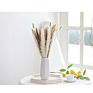 Popular Small Natural Dried Pampas Grass Bouquet for Decoration