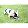 Portable Convenient Silicone Pet Travel Water Bowl for Outdoor