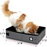Portable Large Stress Free Kennel/Cage and Litter Box Set Lightweight Cat Travel Litter Carrier Kitties Travel Cage