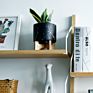 Pot Planters Flower Stand Classic Marble Hanging Pots 5.5 Inch with Small Indoor Succulent Three Black Ceramic Planter