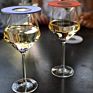 Premium Wine Glass Covers Set of 5 with 2 Bottle Stoppers-Outdoor Ventilated Wine Glass Covers for Bugs-Silicone & Stainless