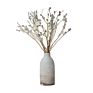 Product Plant Dry Eucalyptus Berry Dried Eucalyptus Leaves Bouquet
