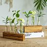 Propagation Test Tube Station 3 Glass Test Tube Vase Planter for Hydroponic Plants Home Garden Decoration - 3 Test Tube