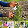 Pruner Pruning Shears and Puncture Proof Gardening Gloves with Claws, Garden Cutter Clippers Garden Secateurs