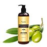 Pure Natural Argan Oil Hair Shampoo Sulfate Free Shampoo for Men Deeply Shampoo for Oily Hair