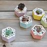 Rainbow Hexagon Flower Pot Ceramic for Planter